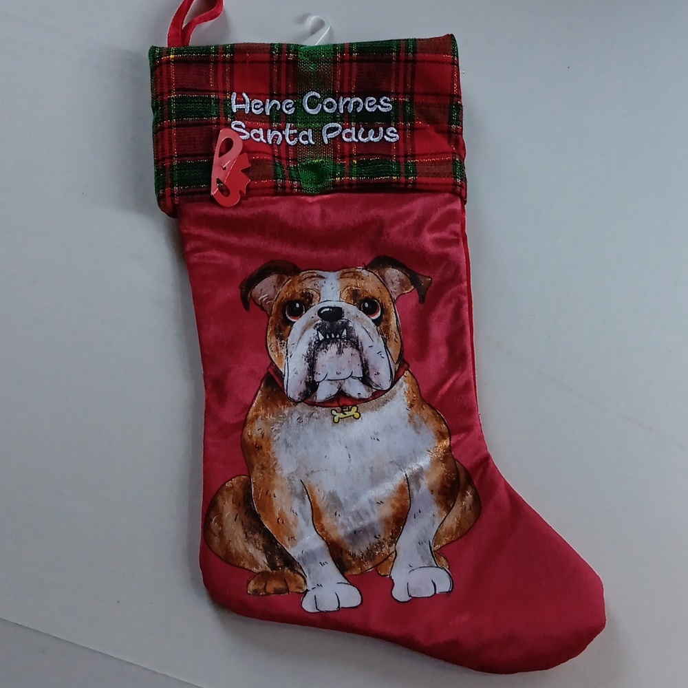 BULLDOG CHRISTMAS 🎄 STOCKING